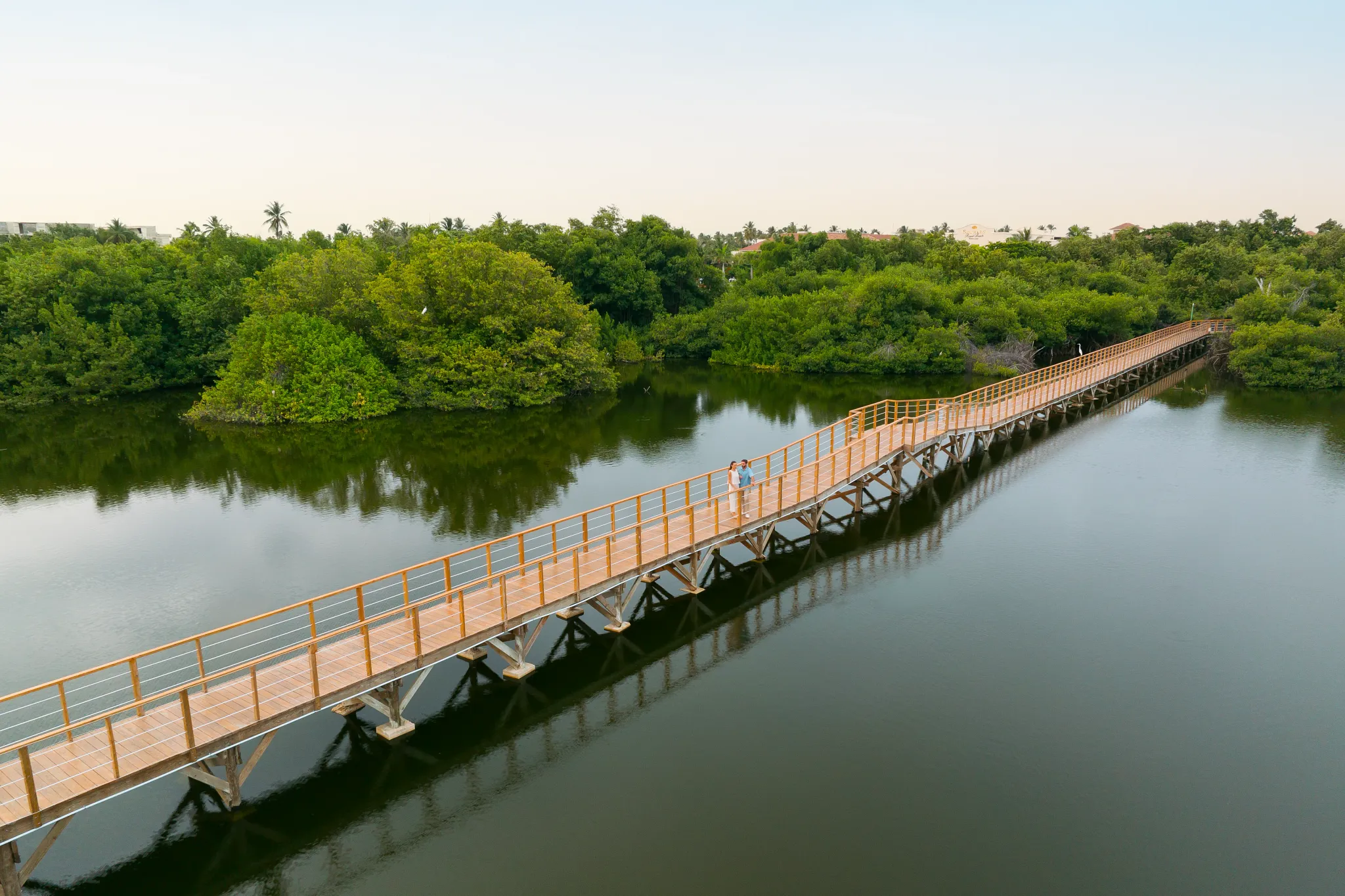 Aerial view of a long wooden walkway over lush mangroves at Dreams Royal Beach Punta Cana.