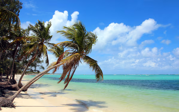 Bavaro Beach near Dreams Royal Beach Punta Cana with expansive white sand and clear Caribbean waters