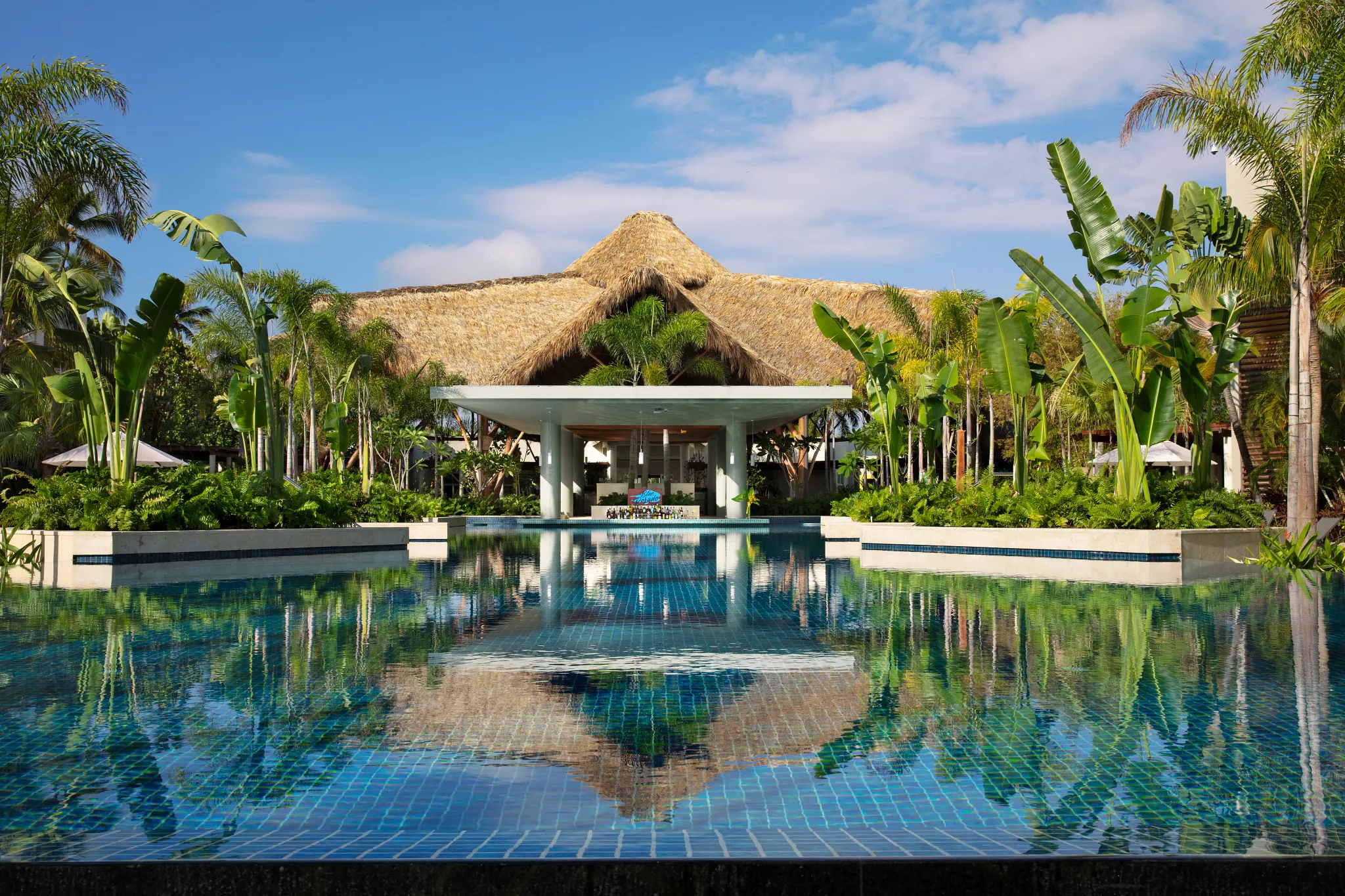 Infinity pool with palm trees and a thatched-roof lobby at Dreams Royal Beach Punta Cana.